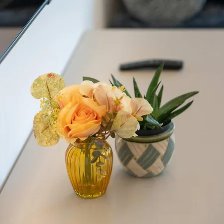 La Terrazza Sul Mare - Fronte Mare - Parking - Wifi * Civitanova Marche